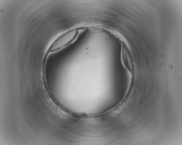 X0000076300896200609291033