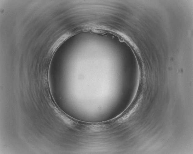 X0000076300897200609291033