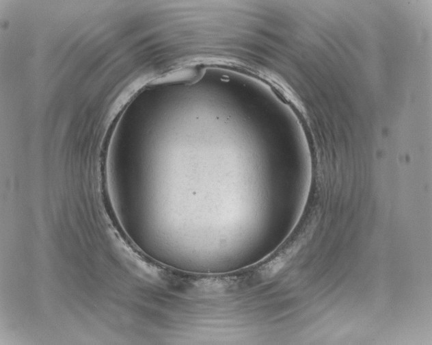 X0000076300898200609291032