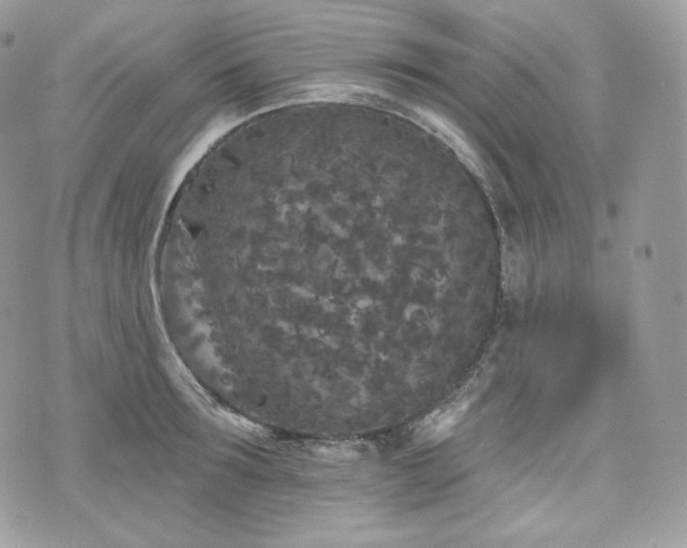 X0000076300899200609291032