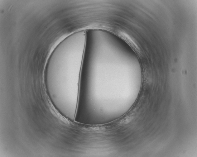 X0000076300900200609291032