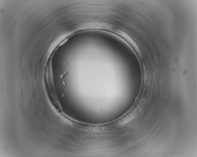 X0000076300901200609291032