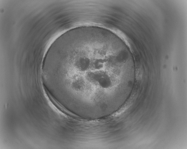 X0000076300903200609291032