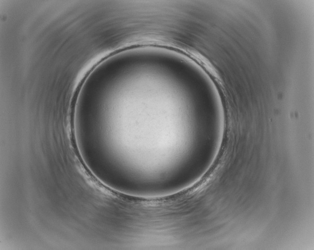 X0000076300904200609291032