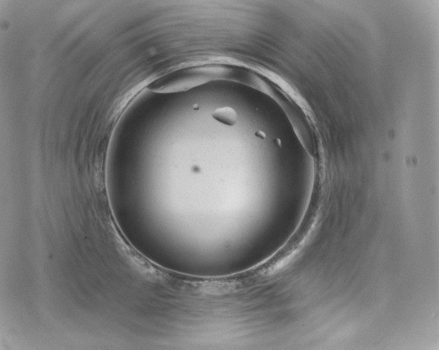 X0000076300905200609291032