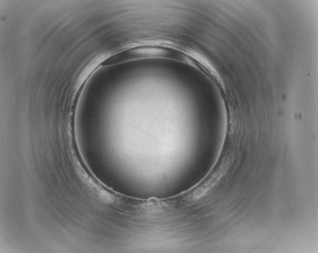 X0000076300906200609291032