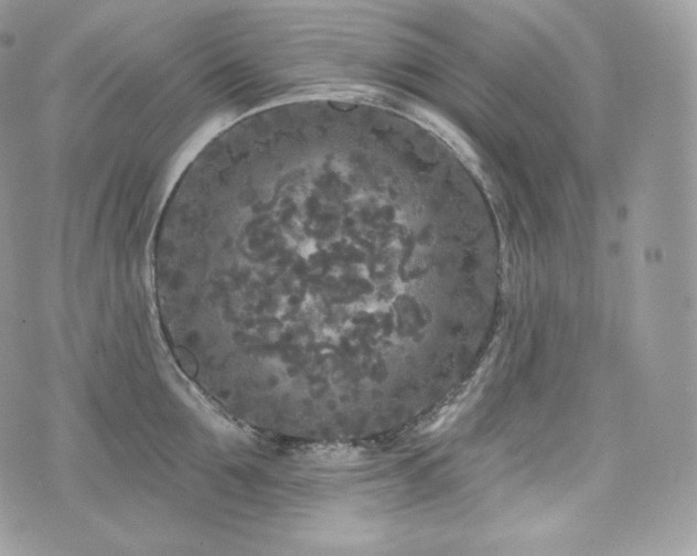 X0000076300907200609291032