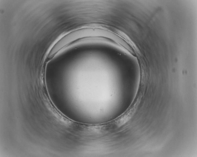 X0000076300908200609291032