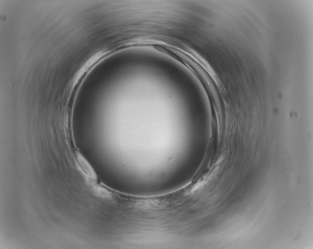 X0000076300909200609291032