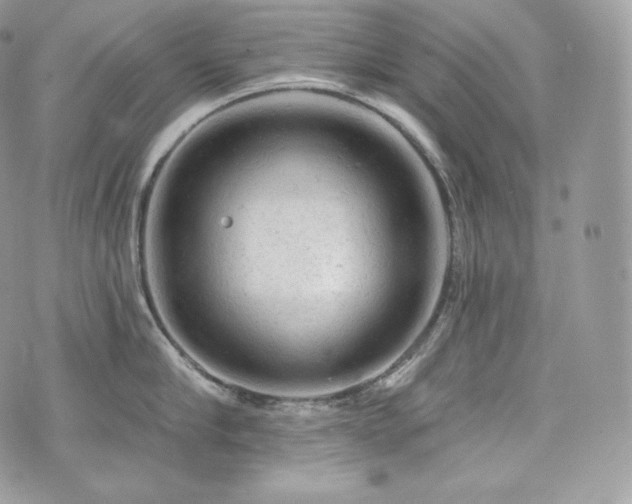 X0000076300910200609291032