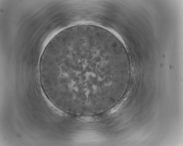 X0000076300911200609291032