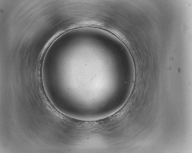 X0000076300912200609291032