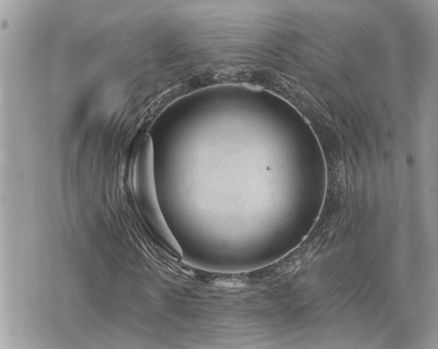 X0000076300914200609291031