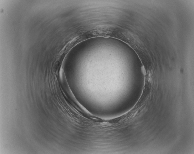 X0000076300915200609291032