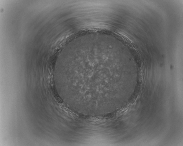 X0000076300917200609291032