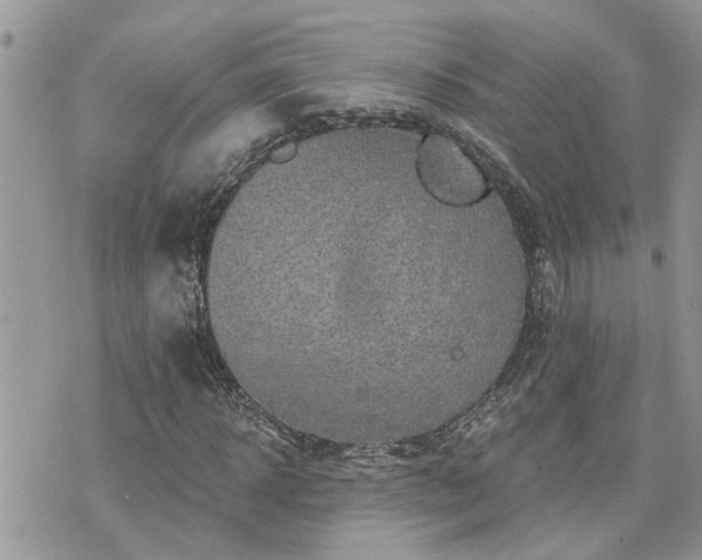 X0000076300918200609291032