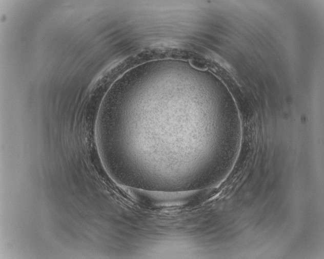 X0000076300919200609291032