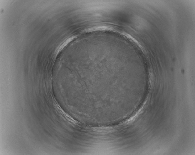 X0000076300921200609291032