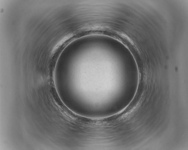 X0000076300922200609291032