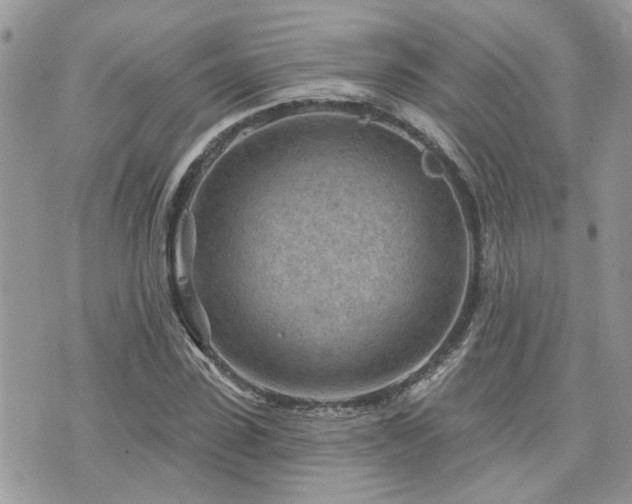 X0000076300923200609291032