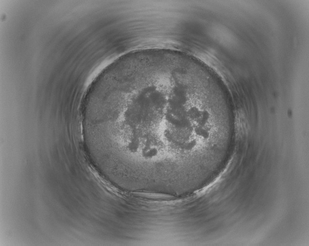 X0000076300925200609291032