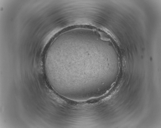 X0000076300926200609291032