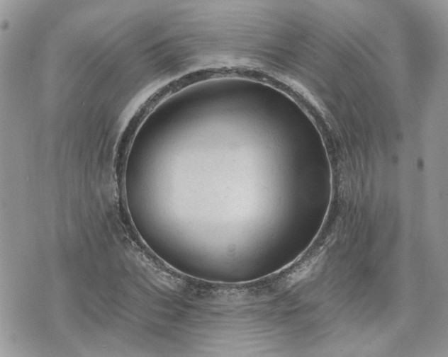 X0000076300927200609291032