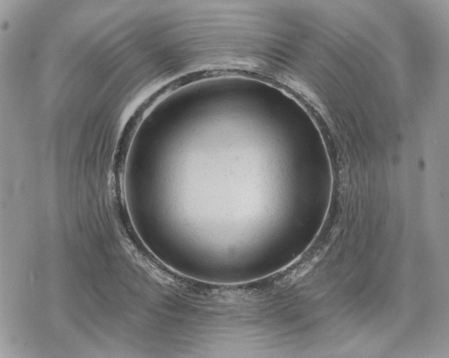 X0000076300928200609291032