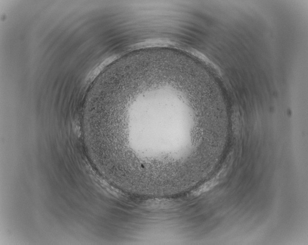 X0000076300929200609291032