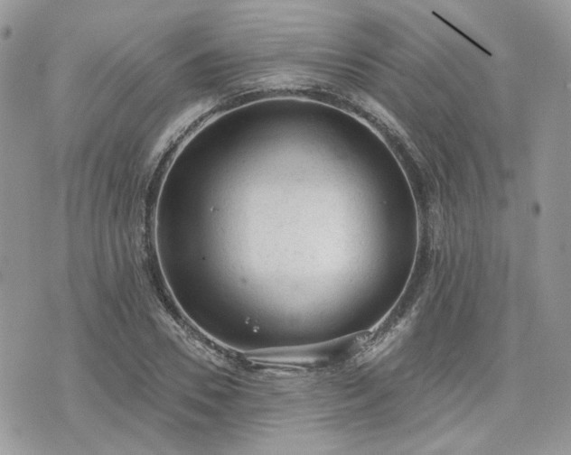 X0000076300930200609291032