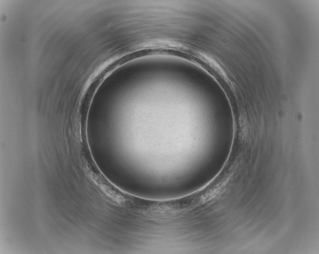 X0000076300931200609291032