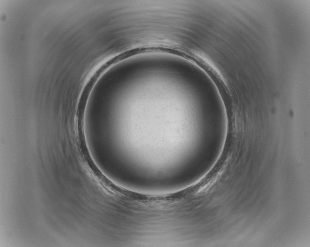 X0000076300932200609291032