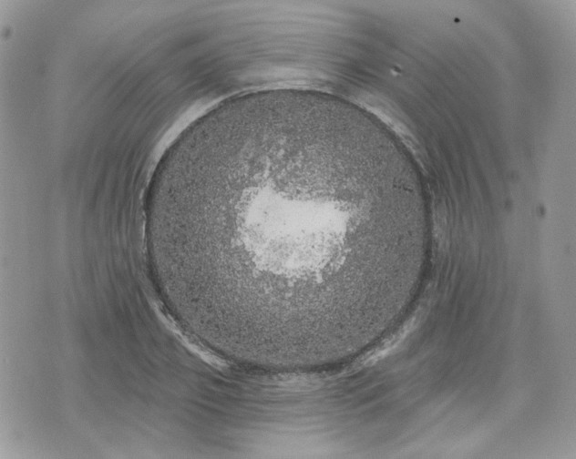 X0000076300933200609291032