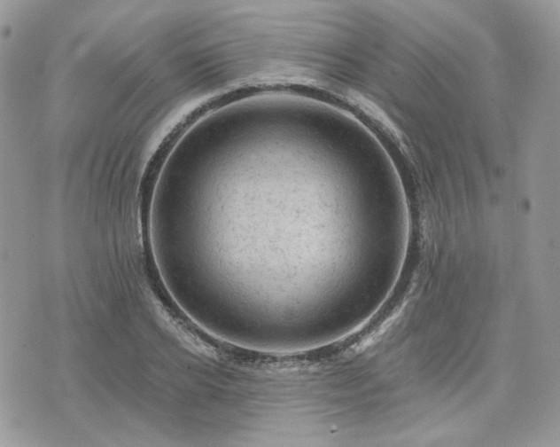 X0000076300934200609291032