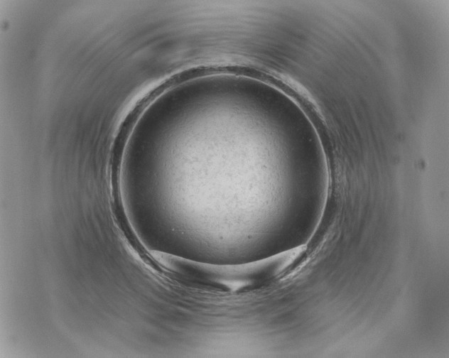 X0000076300935200609291032