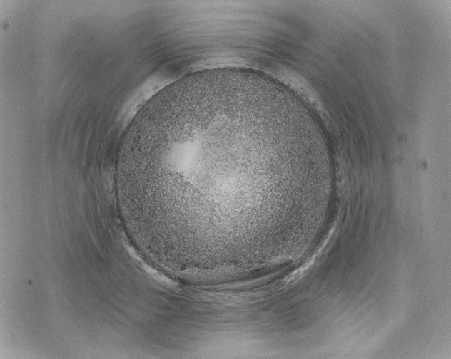 X0000076300937200609291032