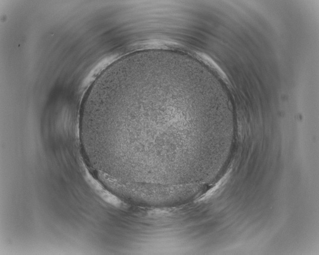 X0000076300938200609291032