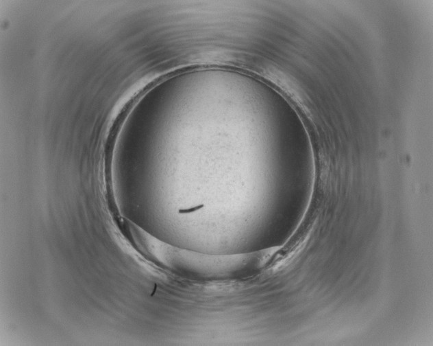 X0000076300939200609291032