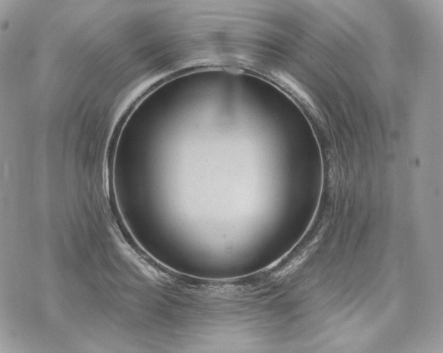 X0000076300940200609291032