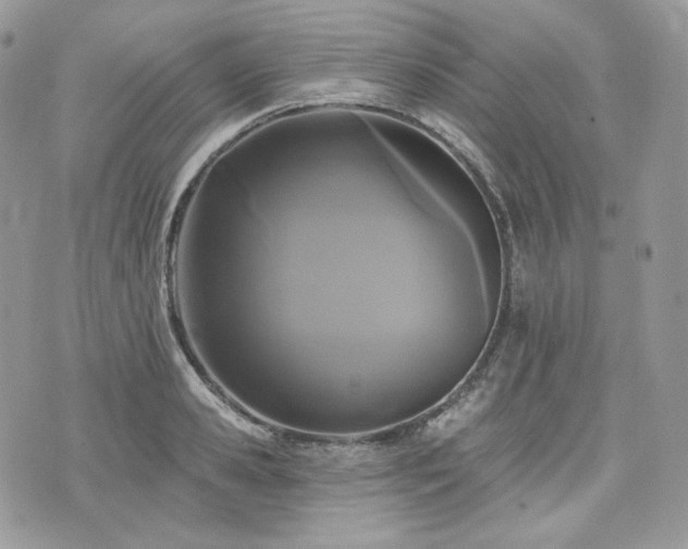 X0000076300941200609291032