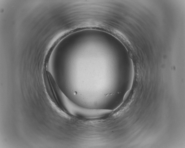 X0000076300942200609291032