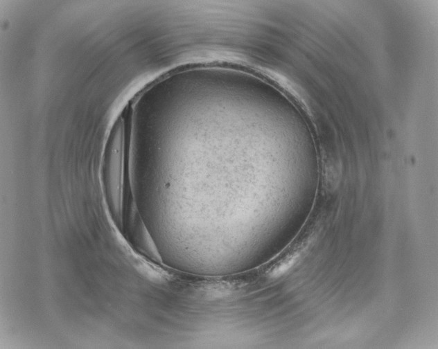 X0000076300943200609291032