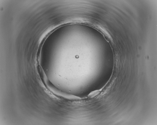 X0000076300944200609291032