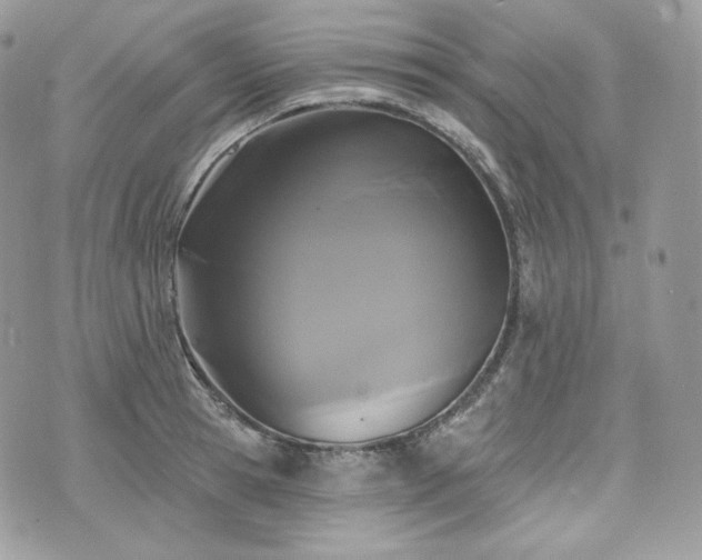 X0000076300945200609291032