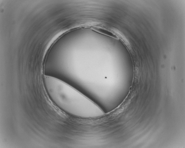 X0000076300948200609291032