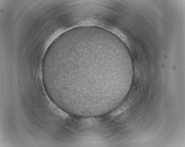 X0000076300950200609291032