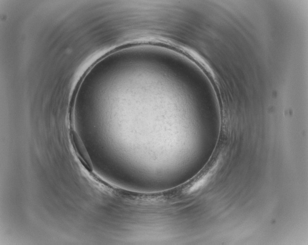 X0000076300951200609291032