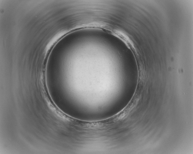 X0000076300952200609291032