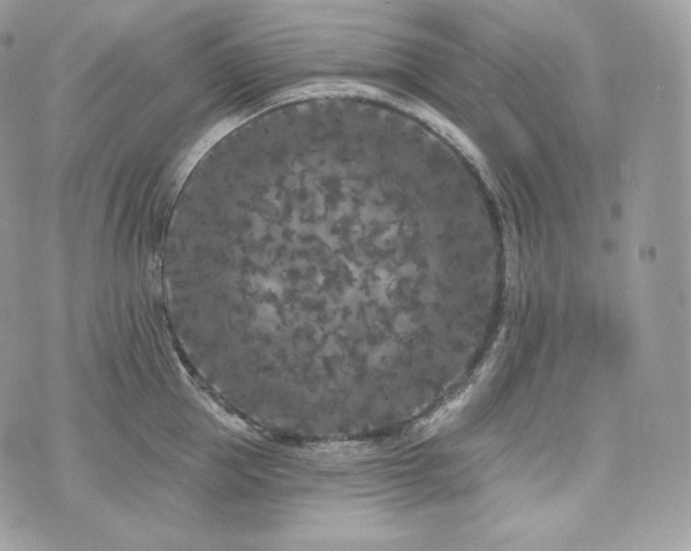 X0000076300953200609291032