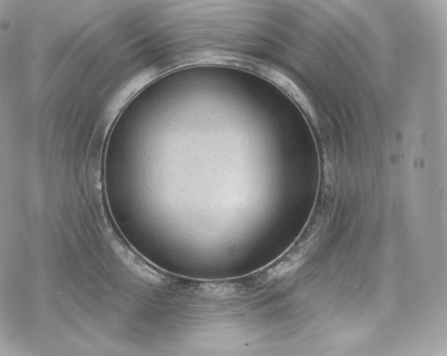 X0000076300954200609291032